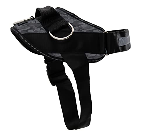 10 Best Joyride Harness -Reviews & Buying Guide