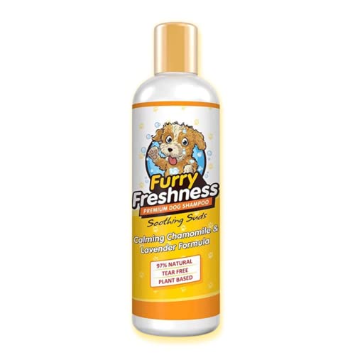 10 Best Furry Freshness -Reviews & Buying Guide