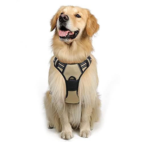 10 Best Joyride Harness -Reviews & Buying Guide