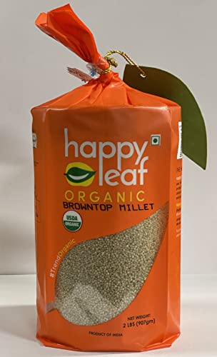 Best Brown Top Millet - Latest Guide