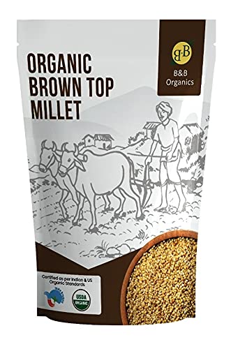 Best Brown Top Millet - Latest Guide