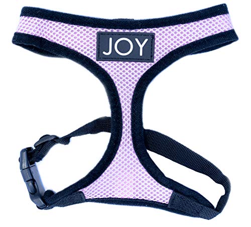 10 Best Joyride Harness -Reviews & Buying Guide