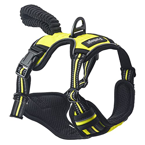 10 Best Joyride Harness -Reviews & Buying Guide