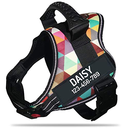 10 Best Joyride Harness -Reviews & Buying Guide