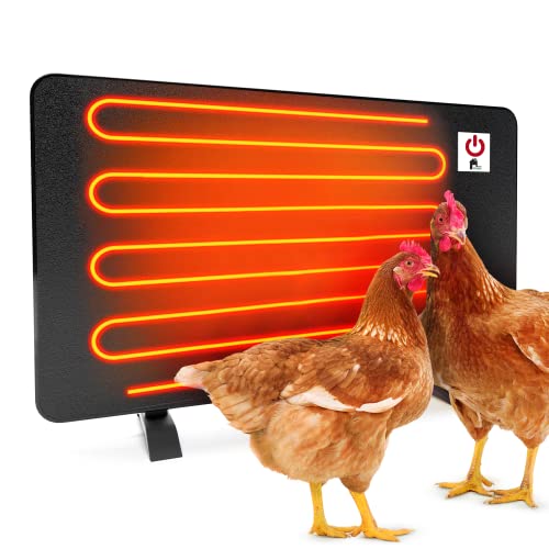 Best Chicken Coop Heater - Latest Guide