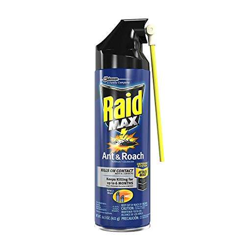 Best Raid Spray - Latest Guide