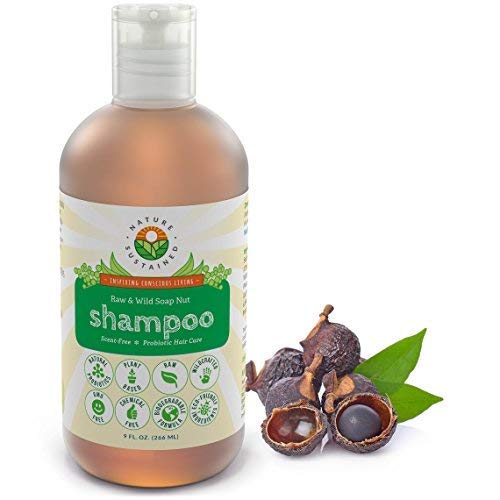 10 Best Shampoo For Dry Hair And Sensitive Scalp -Reviews & Buying Guide
