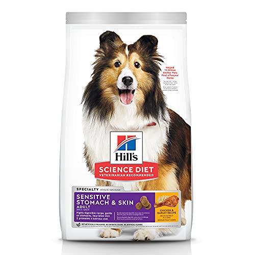 10 Best Redford Dog Food -Reviews & Buying Guide