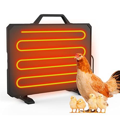 Best Chicken Coop Heater - Latest Guide