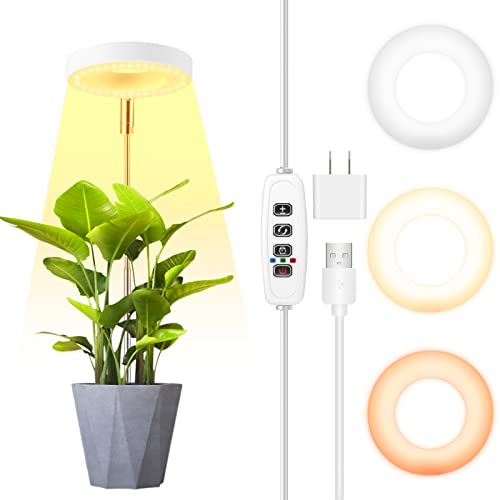 10 Best Halo Grow Light -Reviews & Buying Guide