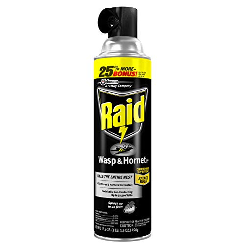 Best Raid Spray - Latest Guide