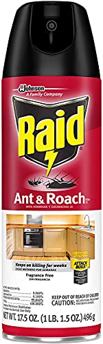 Best Raid Spray - Latest Guide