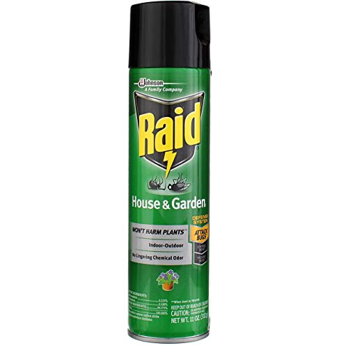 Best Raid Spray - Latest Guide