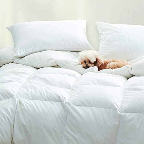10 Best Cuddledown -Reviews & Buying Guide