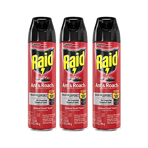 Best Raid Spray - Latest Guide