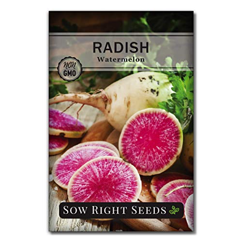 Best Watermelon Radish Seeds - Latest Guide